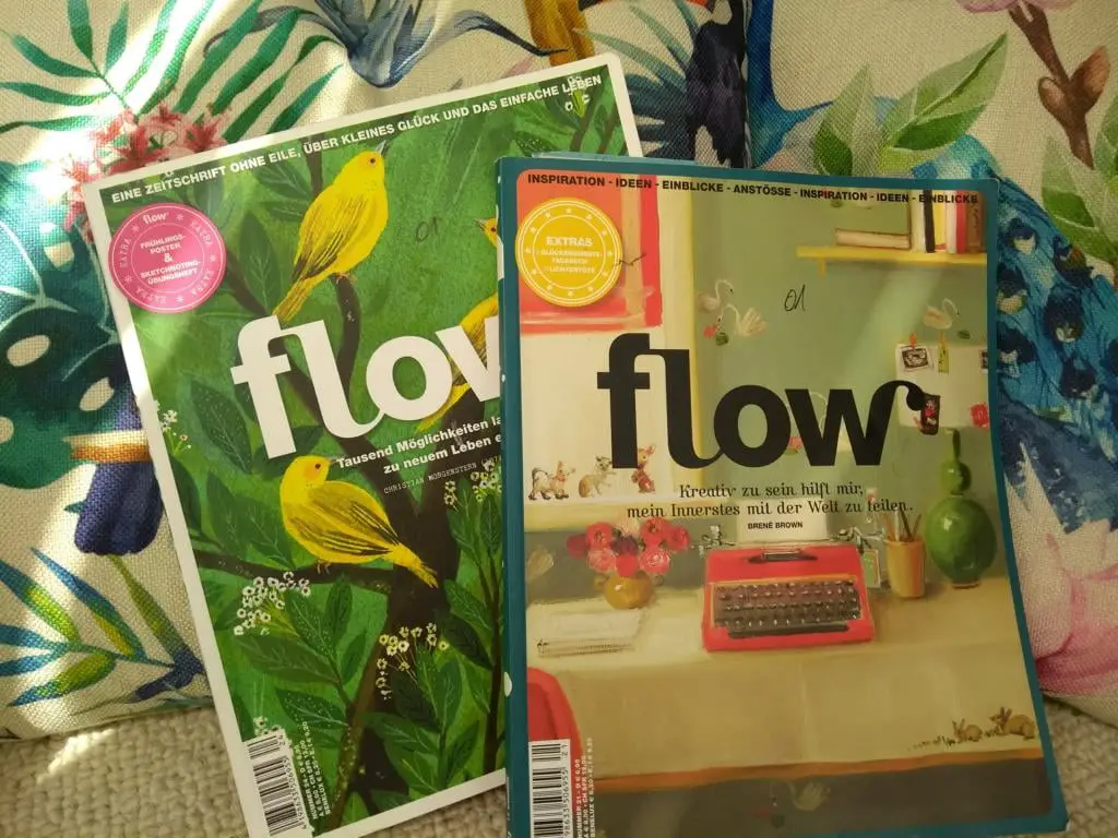 Flow Zeitschrift