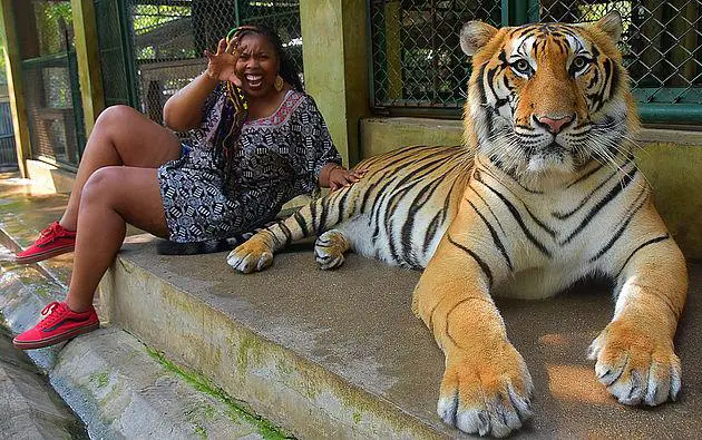 Karina in Thailand mit Tiger