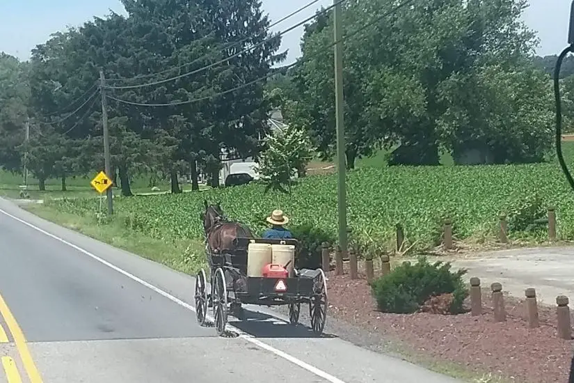 Amish in einer Pferdekutsche am Straßenrand in Lancaster County