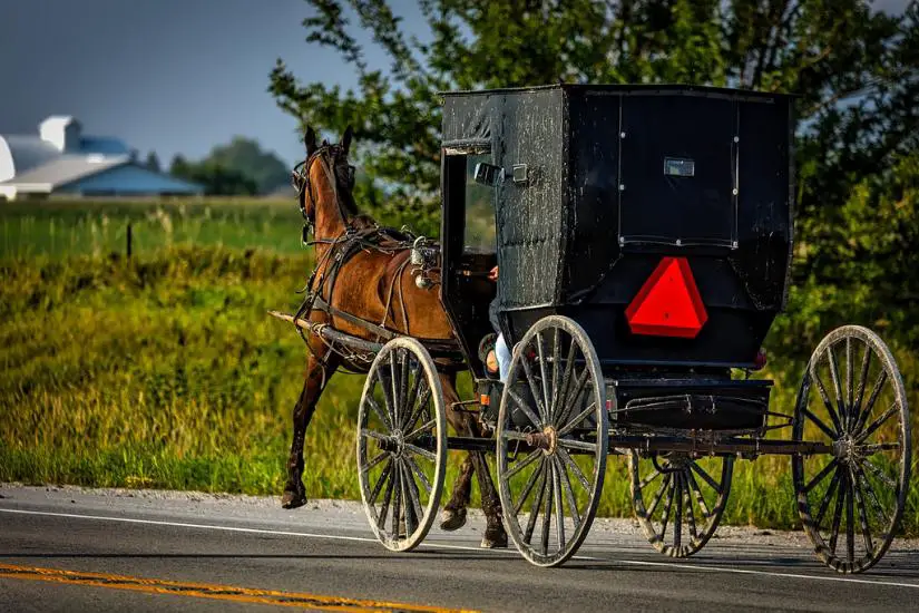 Schwarze Pferdekutsche der Amish