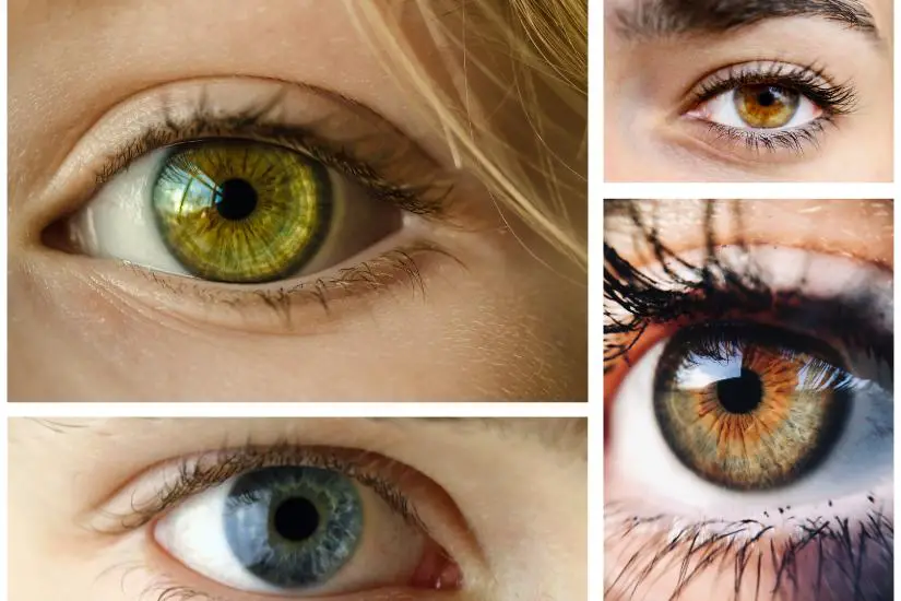 Irisfotoshooting Erfahrung – ein faszinierendes Kunstwerk deines Auges 3 collage iris