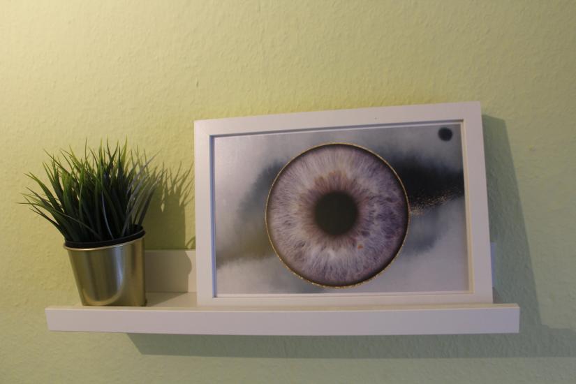 Regal mit einem Bild von einer Iris