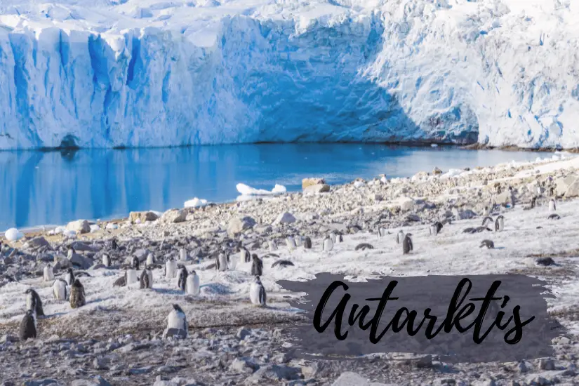 Antarktis Bucket List