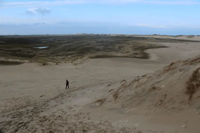 Die Wanderdüne Råbjerg Mile – Dänemarks verstecktes Wüstenwunder 5 Rabjerg Mile ende